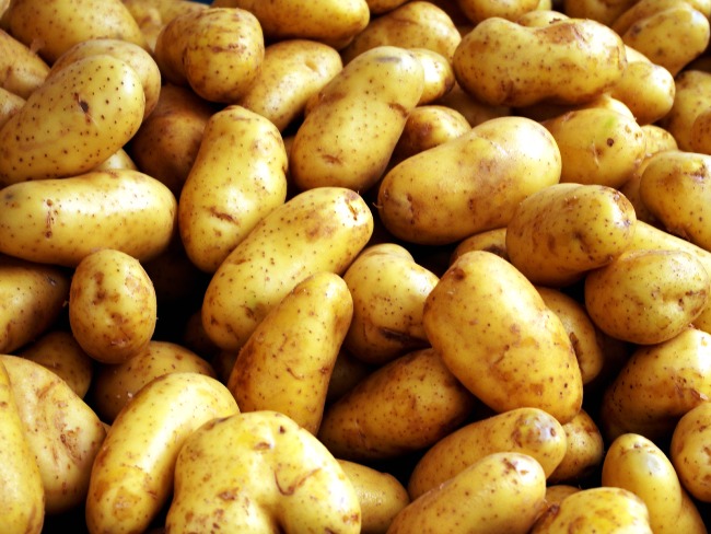 Лучшие Сорта Картофеля Фото Описание