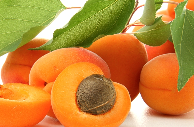 Сорта абрикос