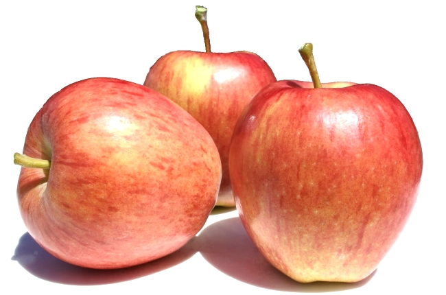 Сорт зимних яблок Глостер